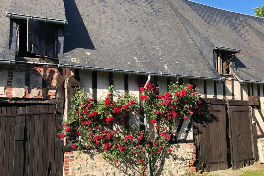 les champs rabats batiment annexe colombage traditionnel fleurs accueil ok + hiro ok