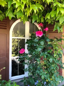 les champs rabats batiment colombage traditionnel lierre fleurs + mes ok