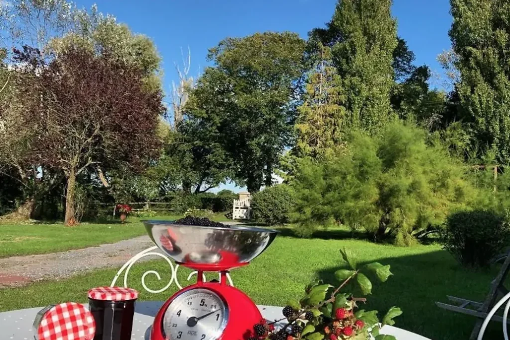 les champs rabats confiture maison dejeuner ok accueil ok